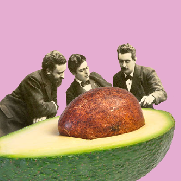 avocado